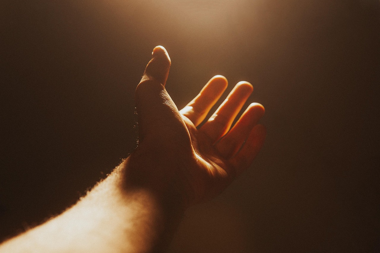 An open hand reaching toward light